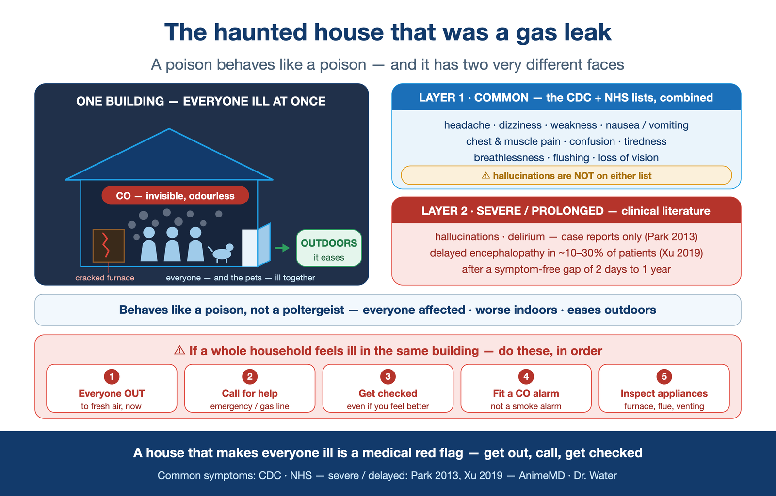 "the haunted house that was a gas leak" — a cutaway home with a cracked furnace venting CO; two clearly-separated symptom tiers float over the family — common/flu-like (headache · dizziness · nausea · confusion) prominent, severe/prolonged (hallucinations · delayed encephalopathy) marked as the smaller far end — all clearing at the open door
