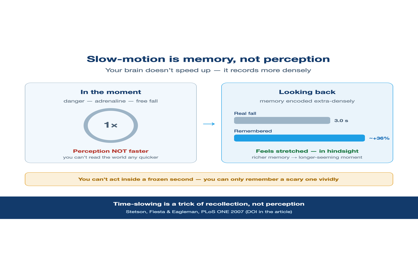 Crisis slow-motion is a memory effect, not faster perception.