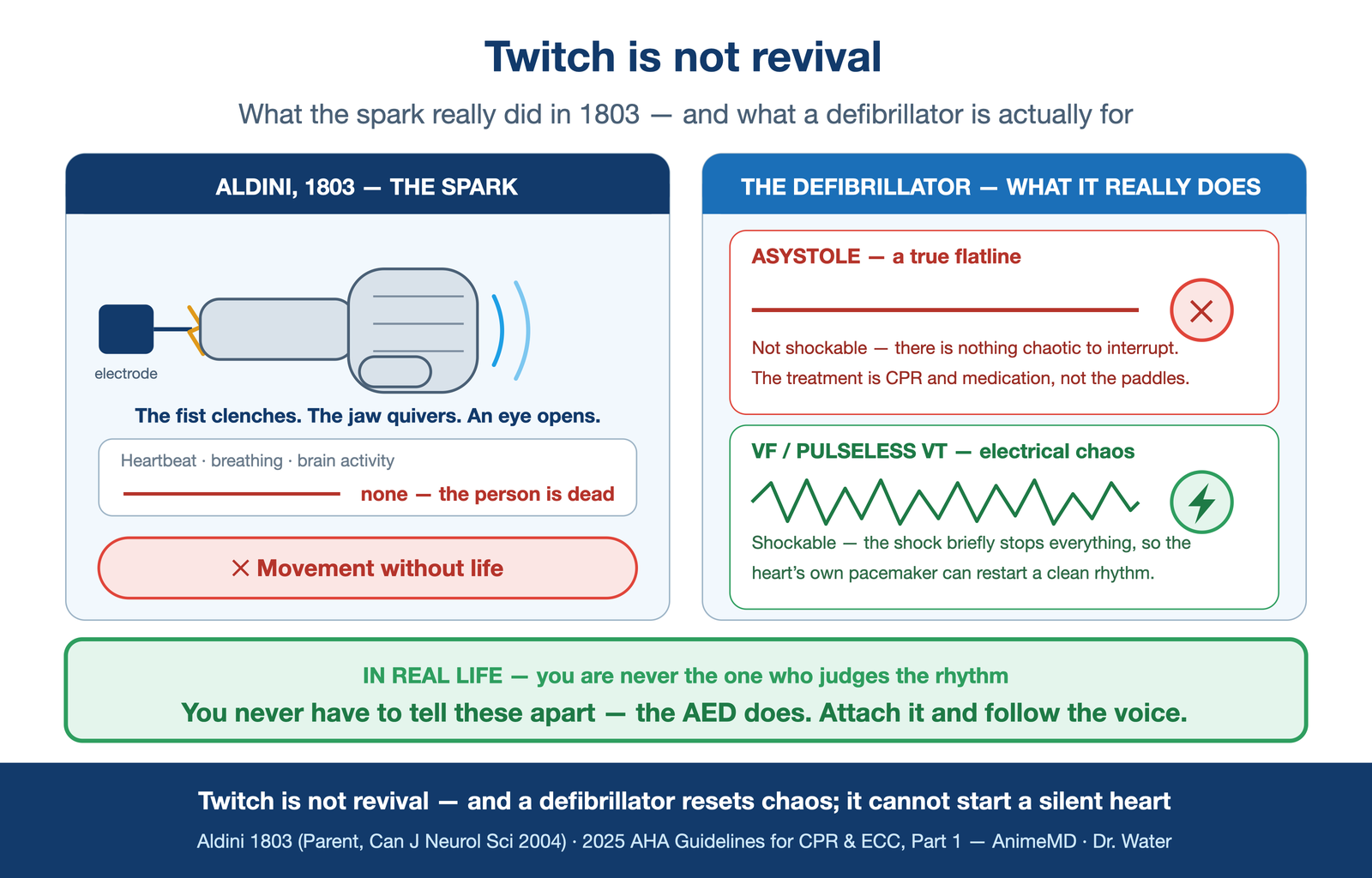 twitch ≠ revival — left: Aldini's spark makes a corpse's hand clench (movement, no pulse); right: a defibrillator over a flat asystole line with a red ✕ ("can't shock silence") vs. a chaotic VF line with a green shock ("this it can reset"); footer strip across the bottom: "You never have to tell these apart — the AED does. Attach it and follow the voice."