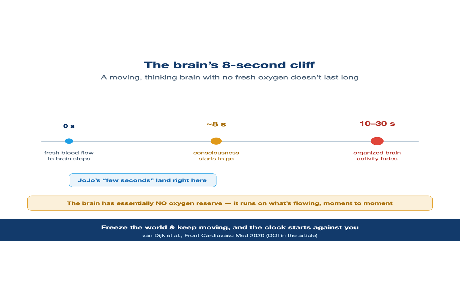 Consciousness fades about 8 seconds after blood flow to the brain stops.