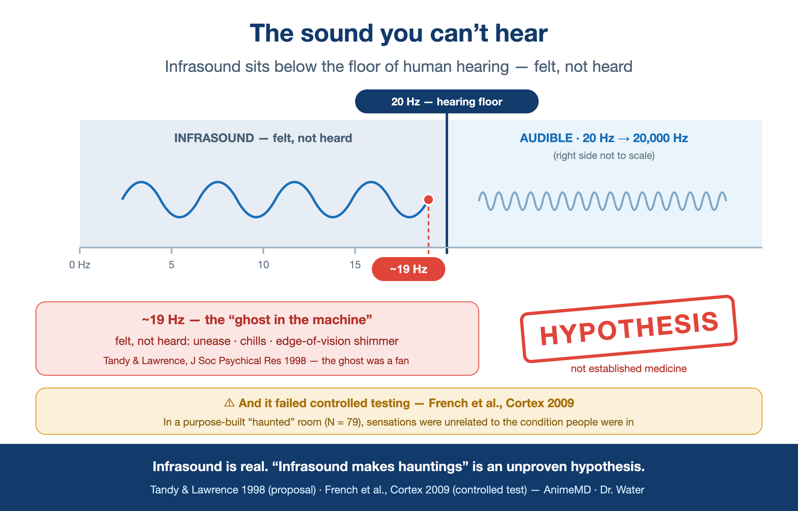 "the sound you can't hear" — a frequency ruler with the human hearing floor at ~20 Hz, a 19 Hz wave sitting just below it labeled "felt, not heard: unease · chills · edge-of-vision shimmer," stamped HYPOTHESIS