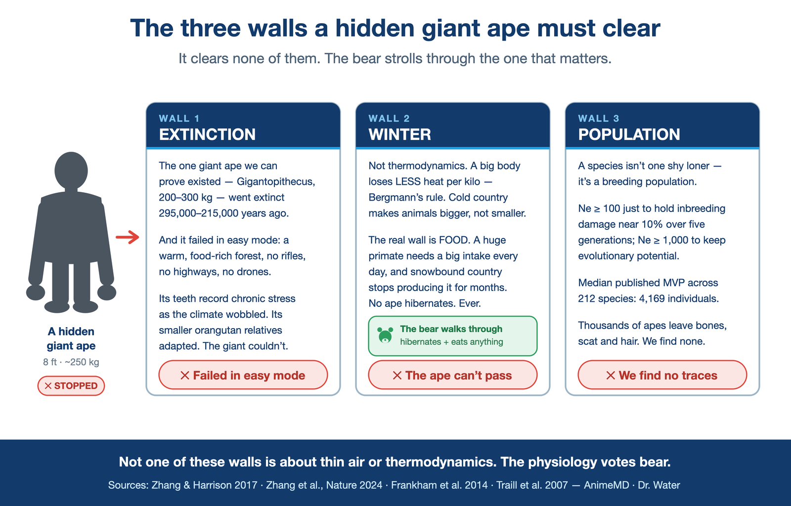 "the three walls" — a giant-ape silhouette blocked by three gates, IN THIS ORDER: (1) Extinction — even Gigantopithecus couldn't hold on, in a warmer, easier world; (2) Winter — no way through a high-altitude winter for a primate; inset shows the bear walking straight through this gate labelled "hibernates + eats anything"; (3) Population — needs hundreds to thousands, not a loner → traces we never find