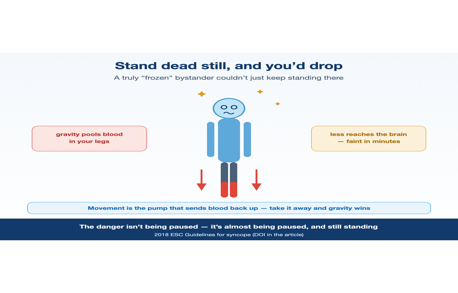Standing motionless pools blood in the legs and can make a healthy person faint.