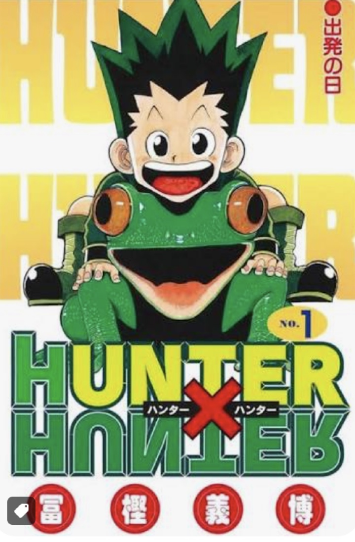 Cover of HUNTER×HUNTER volume 1, quoted for commentary